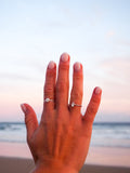 Shell Ring