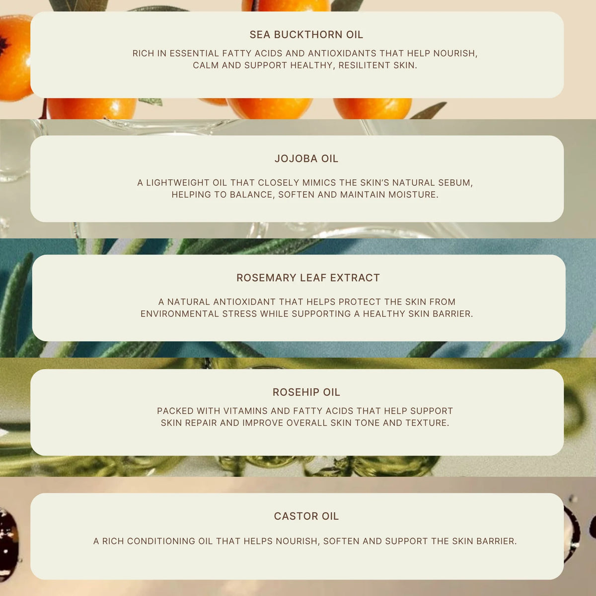 BUTTA BALM™ Mineral Lip & Cheek Balm SPF 50+