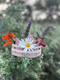 The Adventure Crown™ - Pink