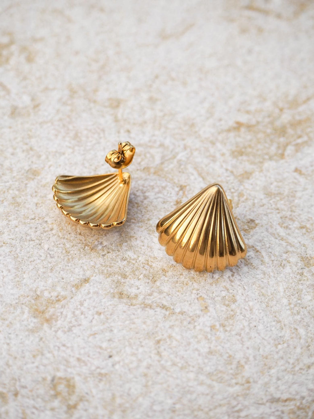 Scallop Seashell Stud Earrings