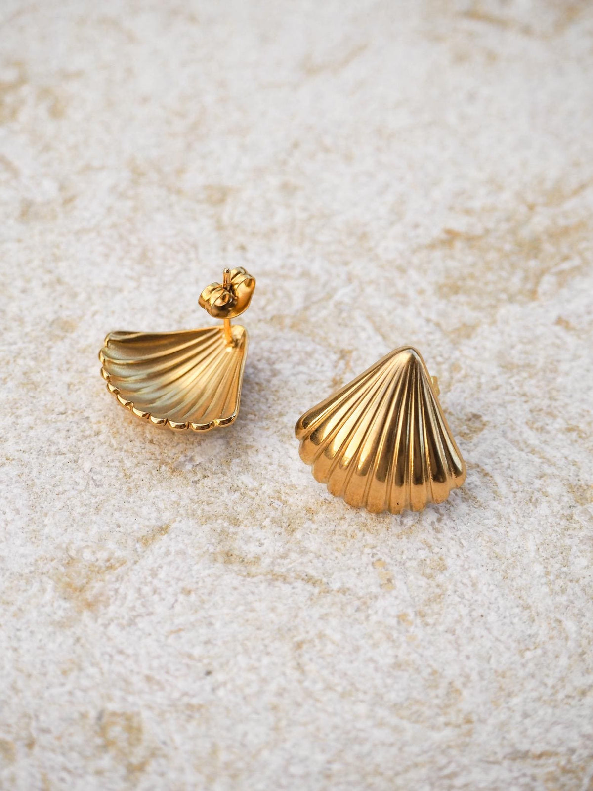 Scallop Seashell Stud Earrings