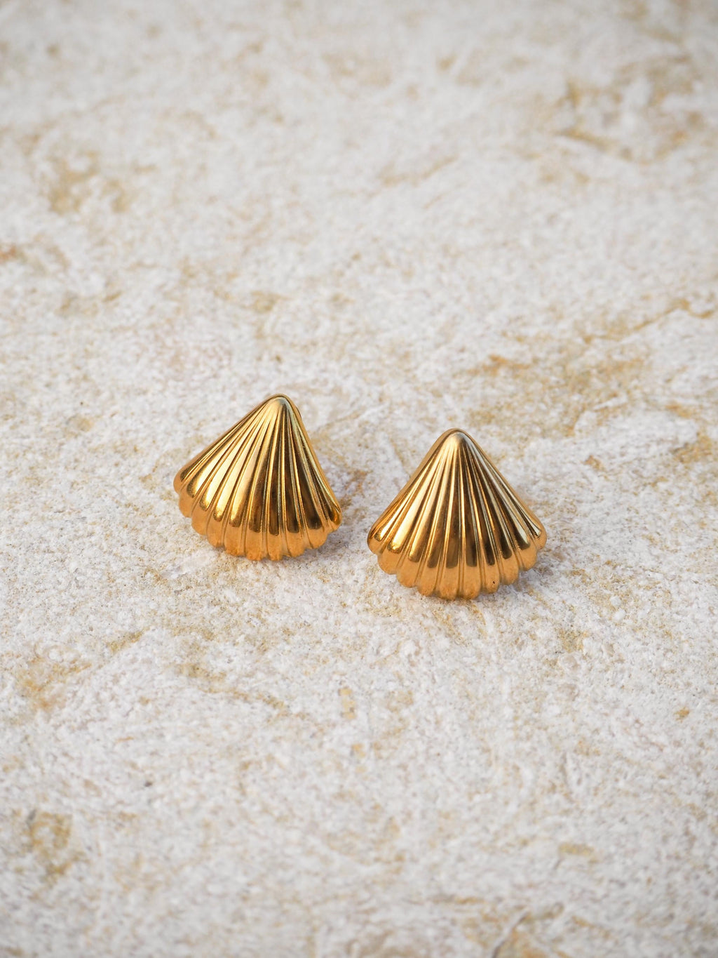 Scallop Seashell Stud Earrings