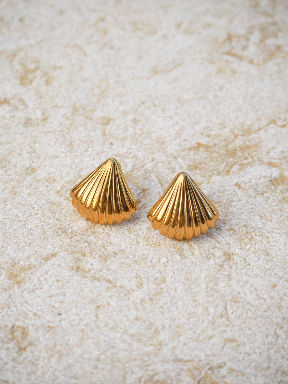 Scallop Seashell Stud Earrings