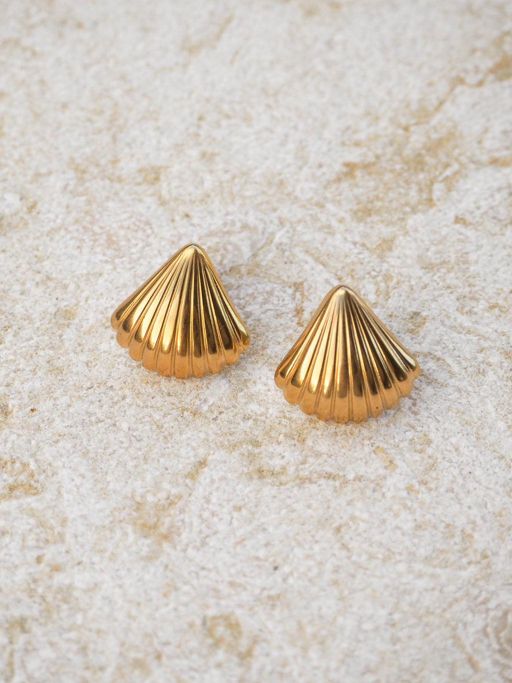 Scallop Seashell Stud Earrings