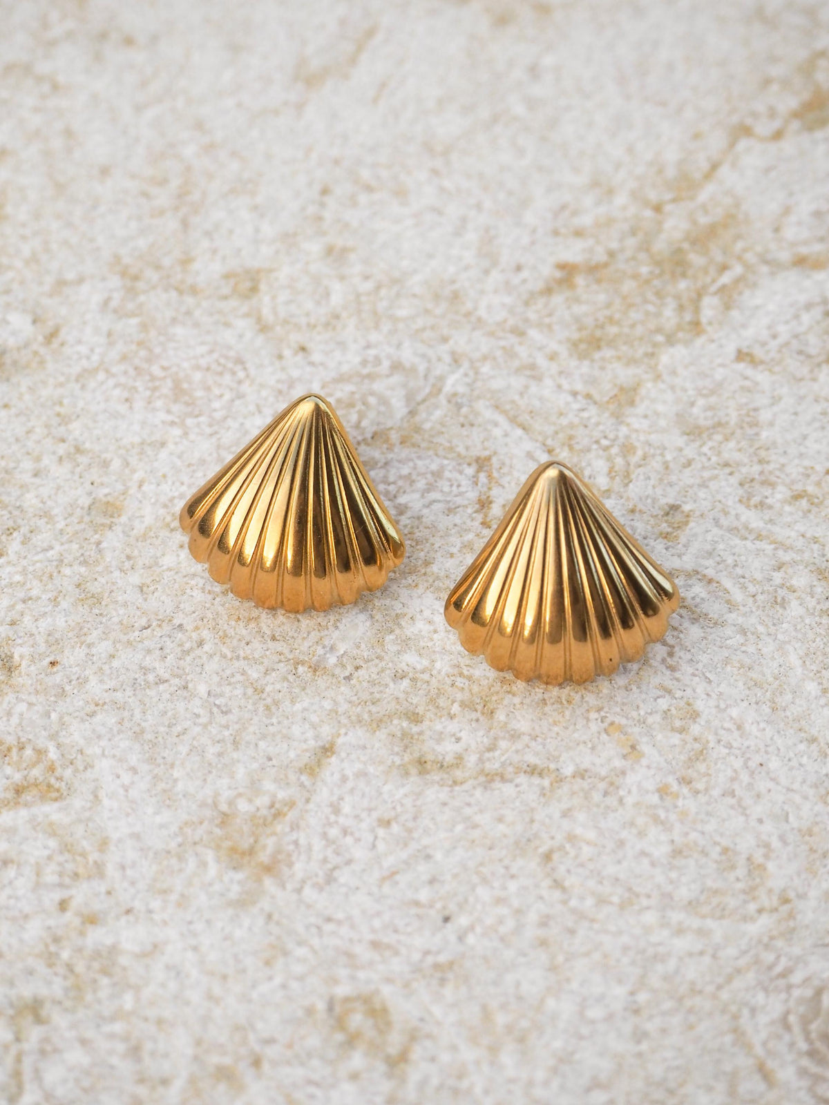 Scallop Seashell Stud Earrings